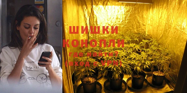 сатива Гусь-Хрустальный