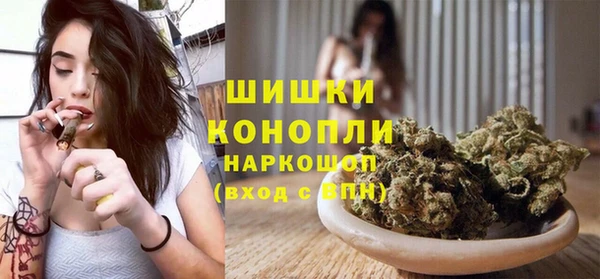 стаф Няндома
