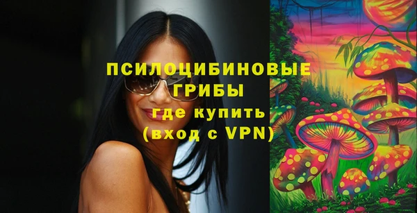 стаф Няндома