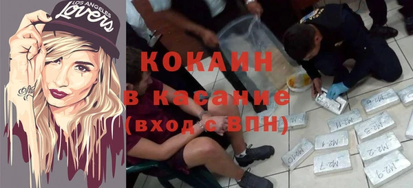 стаф Няндома