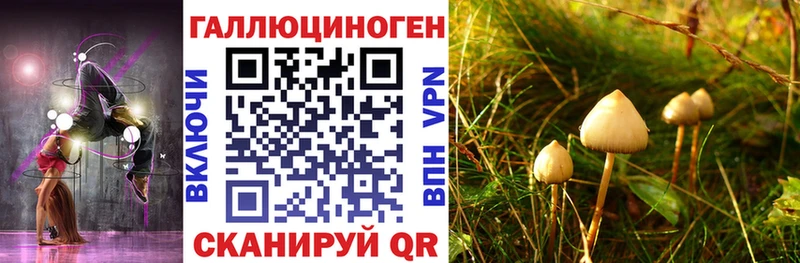Галлюциногенные грибы прущие грибы магазин это наркотические препараты Озёрск